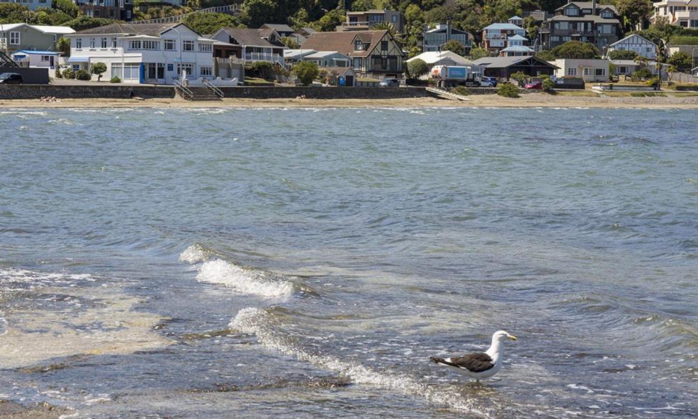 Moana Lodge Plimmerton Eksteriør bilde