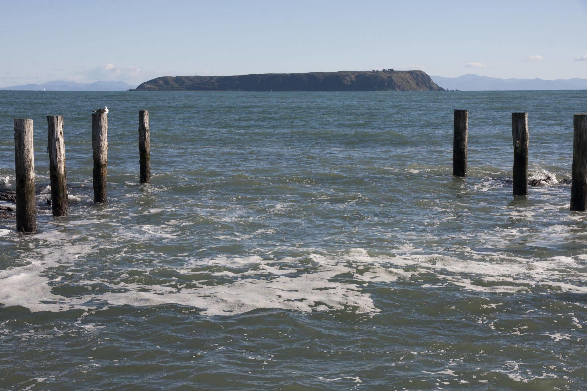 Moana Lodge Plimmerton Eksteriør bilde